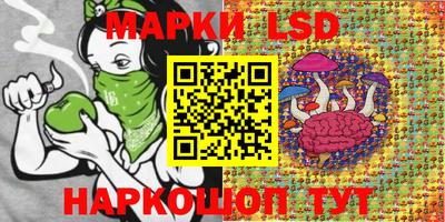 индика Пушкино
