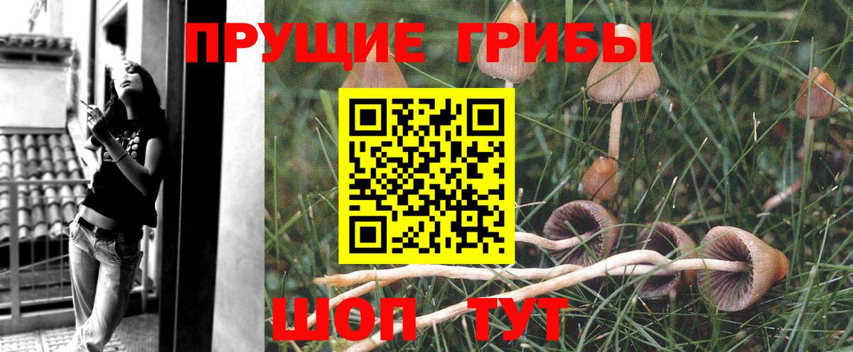 Галлюциногенные грибы Magic Shrooms  купить наркоту  Севастополь  Вход с VPN 